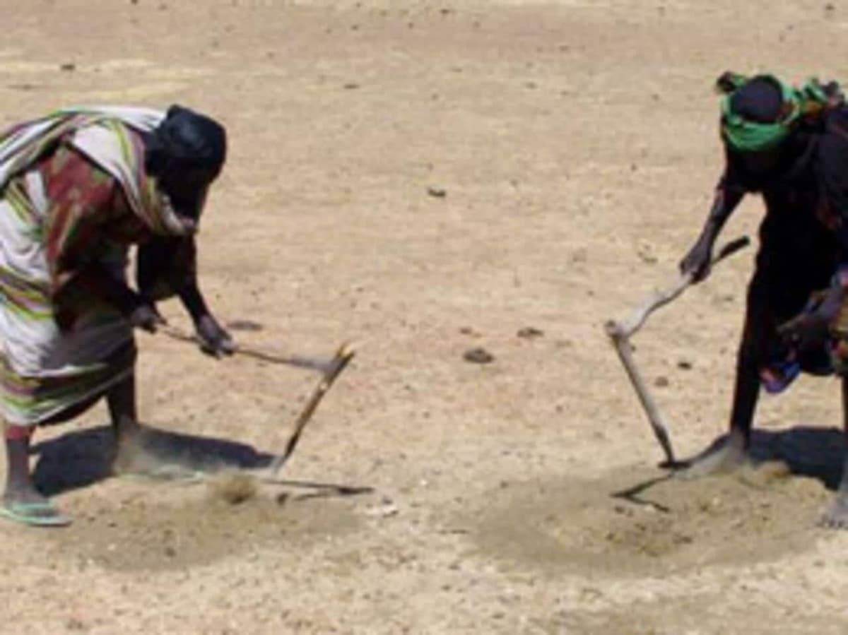 Crise alimentaire au Mali