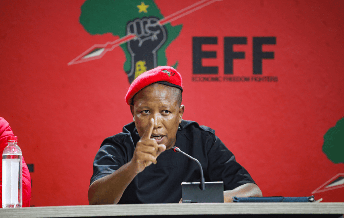 Julius Malema, chef du parti des Combattants pour la liberté économique (EFF), Membre des pionniers du Congrès national africain (ANC)