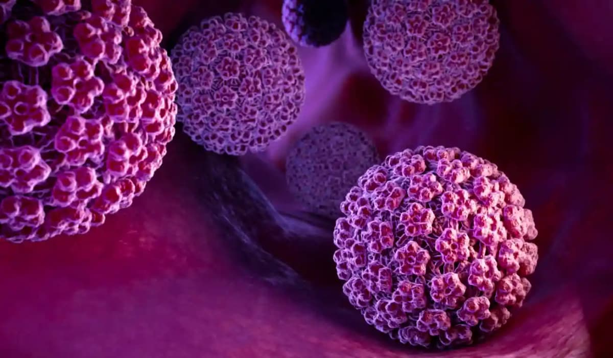 Virus du Papillome Humain (HPV)