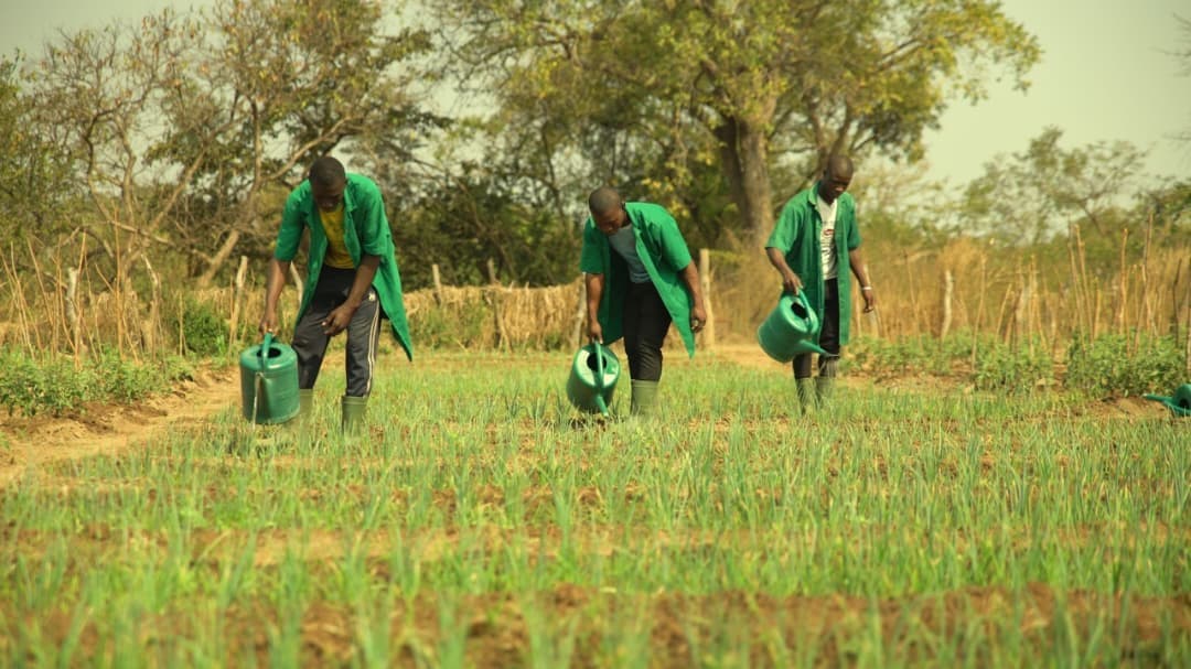 Bénin : trois écoles de formation agricole bientôt construites à Bassila, Ouessè et Zè