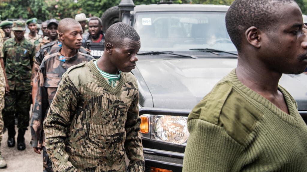 Rwanda : 214 membres de groupes rebelles, dont les FDLR, réinsérés