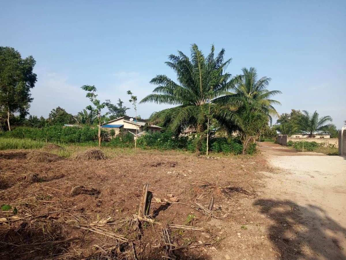 Lycées techniques et agricoles au Bénin : de nouvelles filières professionnelles ouvertes