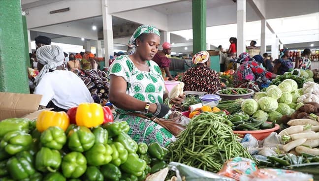 Guinée équatoriale : inflation à 2,4 % en janvier 2026, le transport bondit de 5,1 %