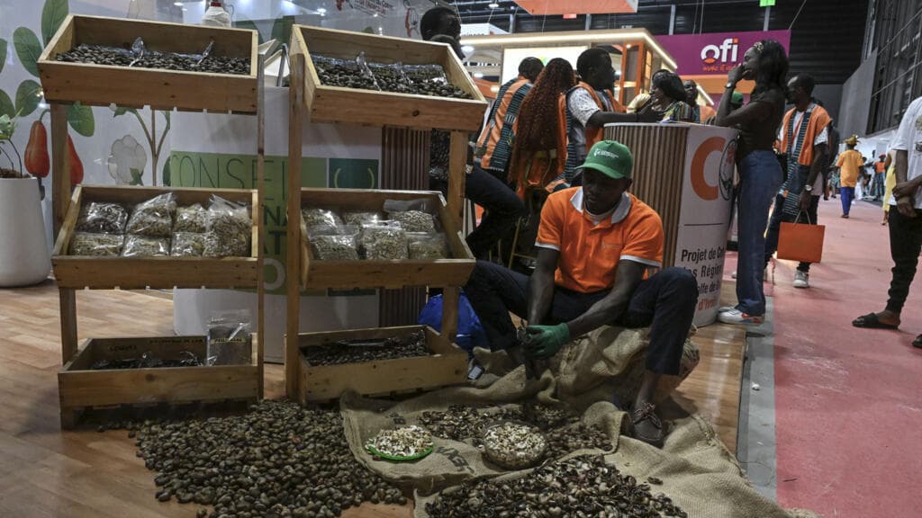 Côte d’Ivoire : le Conseil du coton et de l’anacarde prolonge d’une semaine les mesures pour sécuriser la filière anacarde